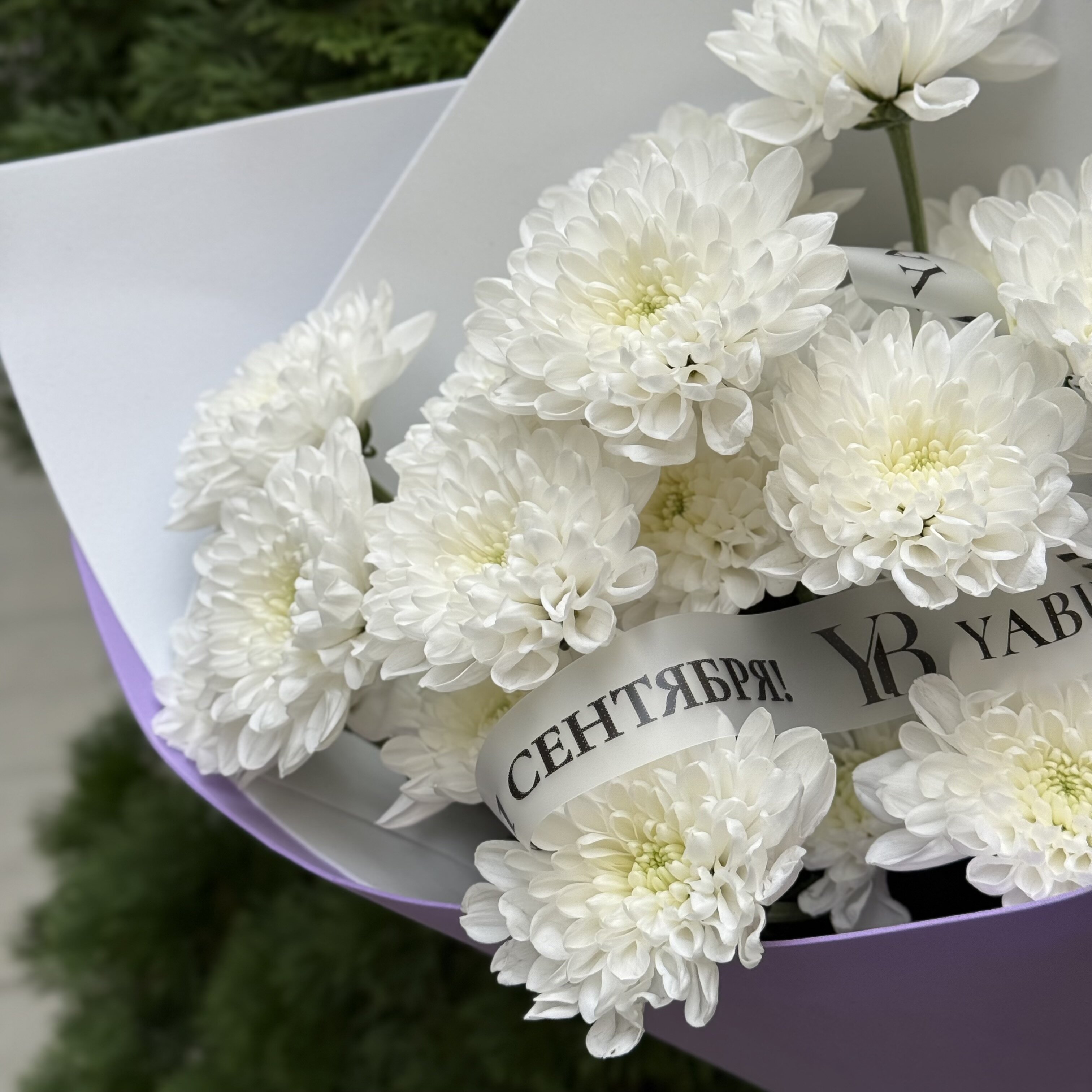 Монобукет из 3 белых хризантем Алтай