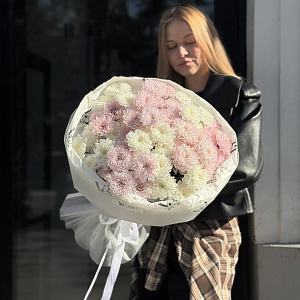 Монобукет из 11 розовых и белых кустовых хризантем Алтай
