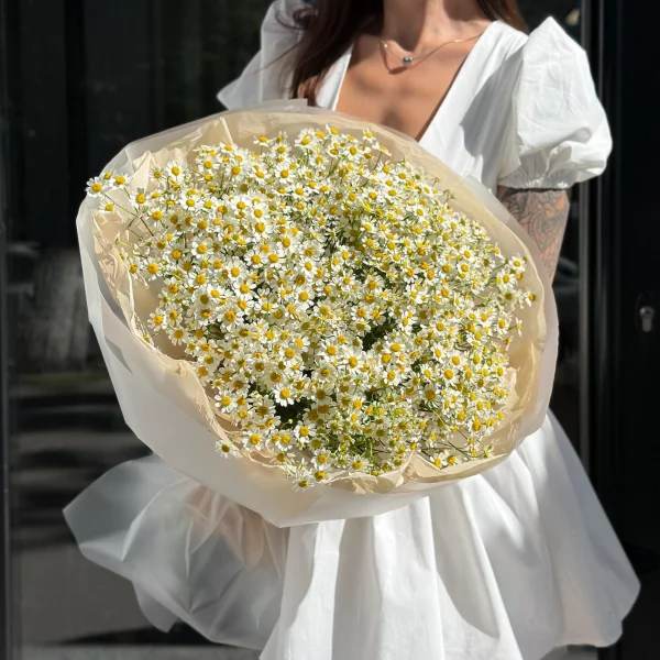 Монобукет из 27 белых кустовых ромашек Танацетум