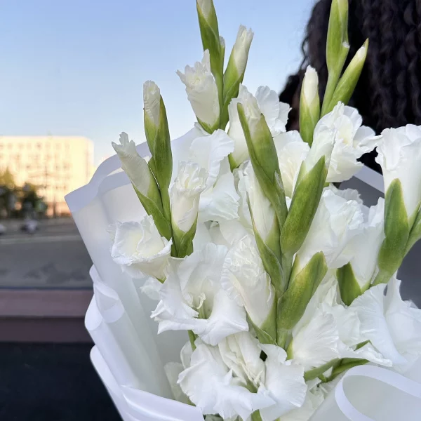 Монобукет из 5 белых гладиолусов