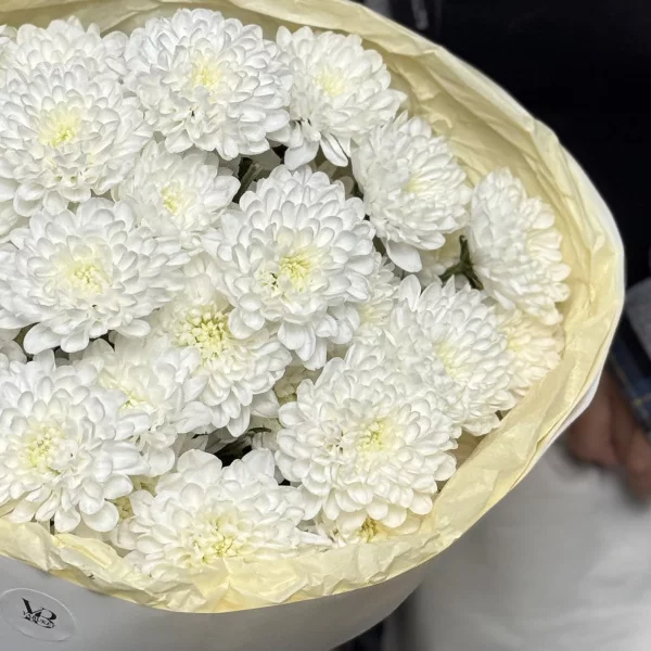 Самый стойкий моно букет из кустовой хризантемы