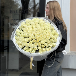Монобукет из 101 белой голландской розы