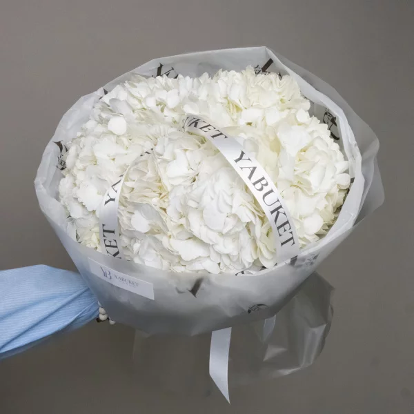 Монобукет из 5 белых гортензий