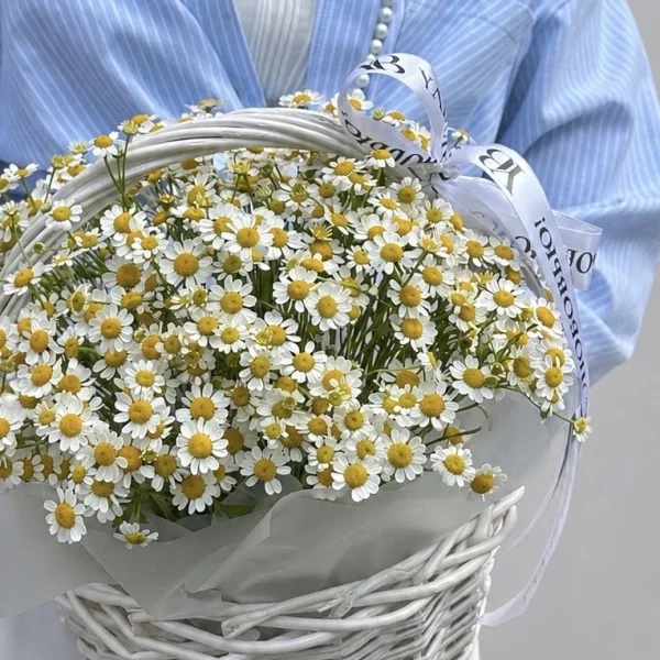 Очаровательная корзина с полевыми ромашками